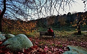 230020_10151535181077497_576331867_n