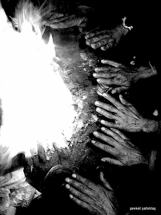 35808_415081784172_4120915_n