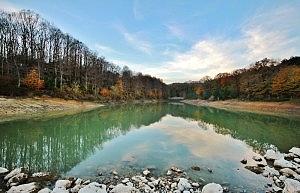 480982_10151535179747497_1203291103_n