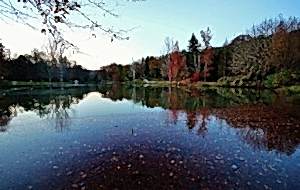 599745_10151535180902497_444971275_n