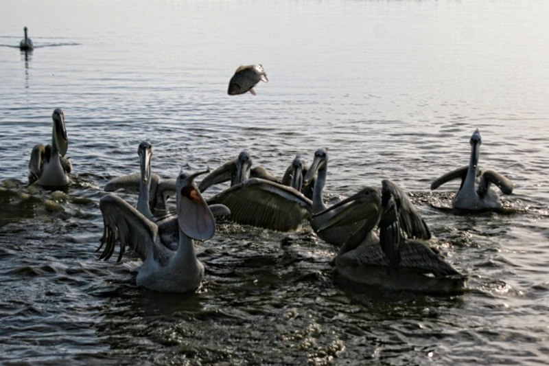 SU UÇTU ŞELALESİ ve BEREKETLİ KÖYÜ FOTOĞRAF GEZİSİ