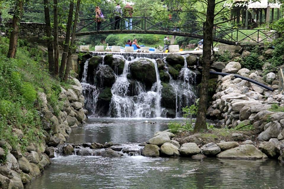 NKFA ile SAPANCA ve MAŞUKİYE FOTOĞRAF GEZİSİ