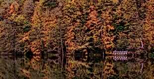 Fotoğrafçılık kursu ve doğa fotoğrafçılarına öneriler