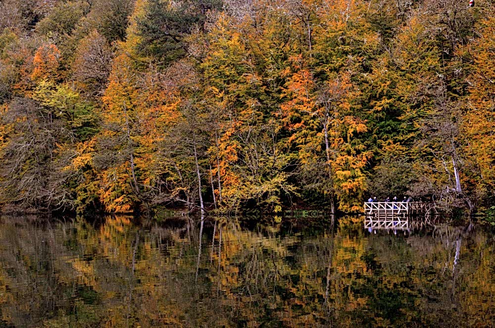 Fotoğrafçılık kursu ve doğa fotoğrafçılarına öneriler