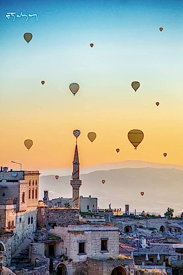 12181953_1708878859344014_484478234_n