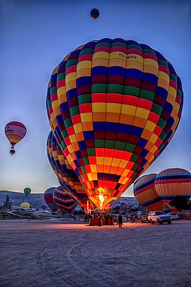 12188754_1708878862677347_858027218_n